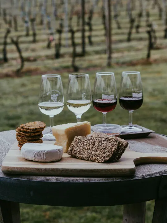 Verres de vin blanc et rouge, fromages et pains sur une table devant des vignes